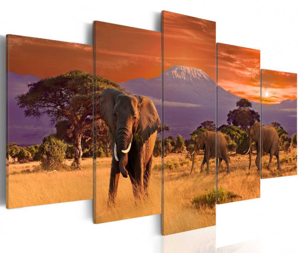 Taulu Artgeist Africa: Elephants eri kokoja