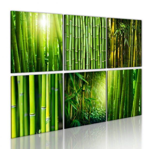 Taulu Artgeist Bamboo has many faces eri kokoja