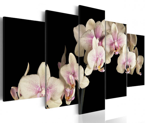 Taulu Artgeist An orchid on a contrasting background eri kokoja