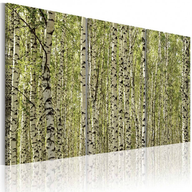 Taulu Artgeist A forest of birch trees eri kokoja