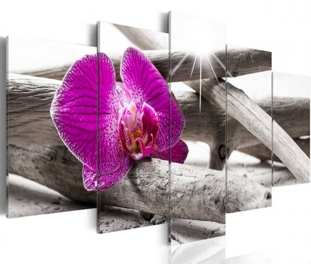 Taulu Artgeist Orchid on beach eri kokoja