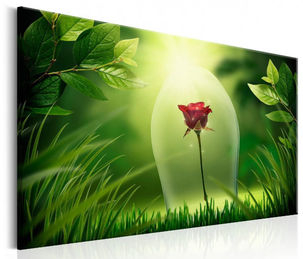 Taulu Artgeist Magical Rose eri kokoja