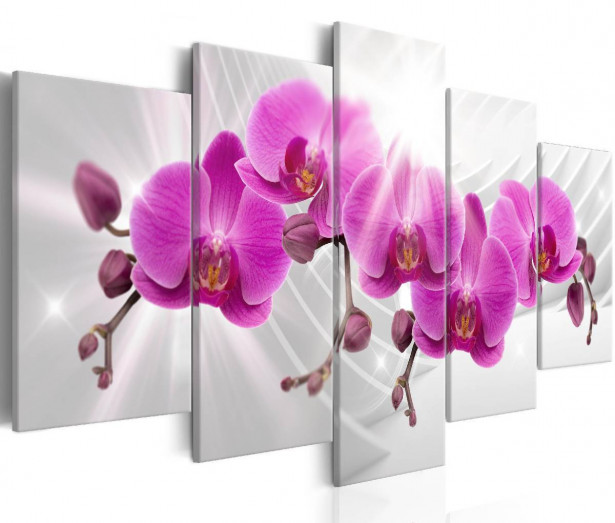 Taulu Artgeist Abstract Garden: Pink Orchids eri kokoja