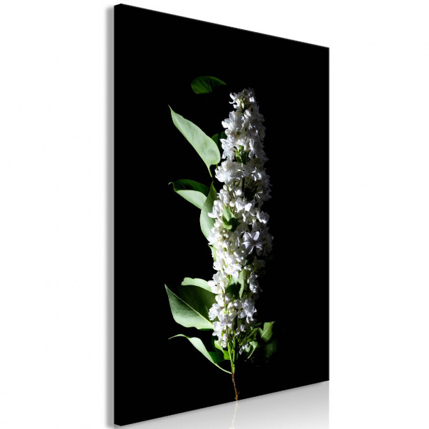Taulu Artgeist White Lilacs 1-osainen pystysuuntainen eri kokoja