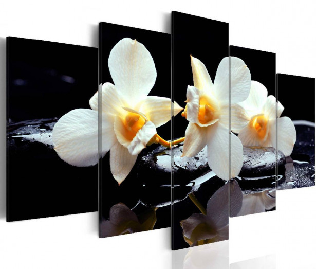 Taulu Artgeist Orchids with orange accent eri kokoja
