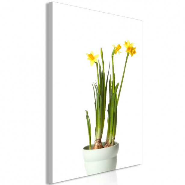 Taulu Artgeist Narcissus 1-osainen pystysuuntainen eri kokoja