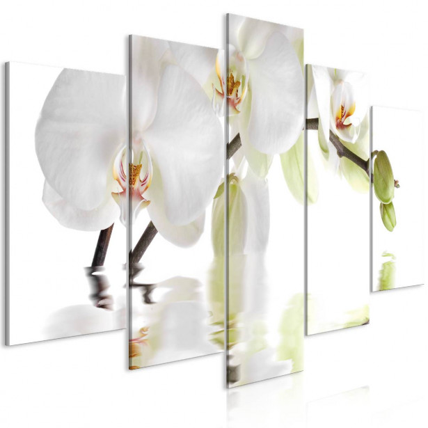 Taulu Artgeist Wonderful Orchid 5-osainen leveä eri kokoja