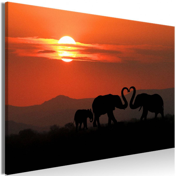 Taulu Artgeist Elephants in Love 1-osainen leveä eri kokoja