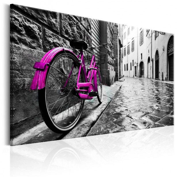 Taulu Artgeist Vintage Pink Bike eri kokoja