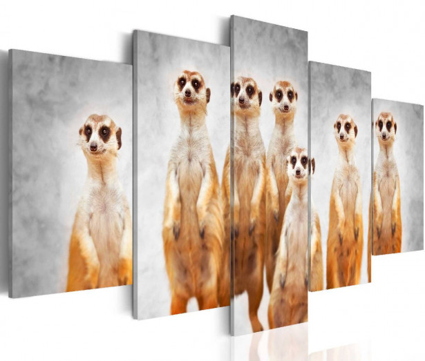 Taulu Artgeist Meerkats eri kokoja