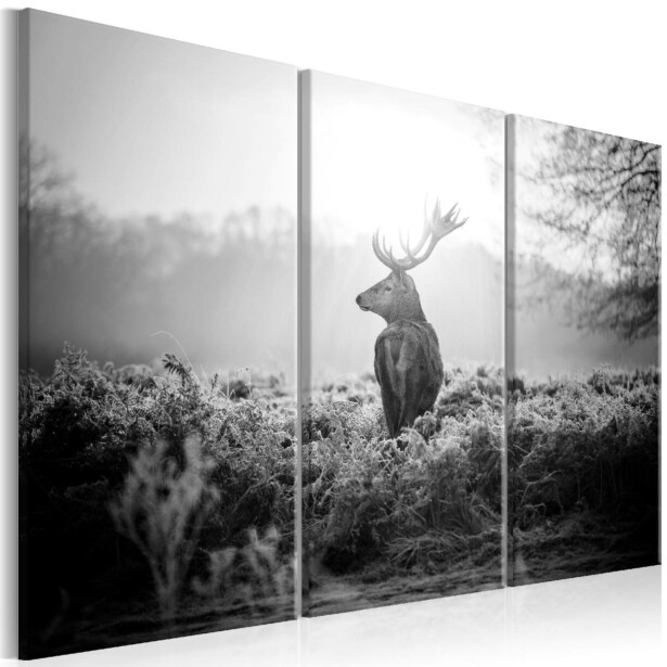 Taulu Artgeist Black and White Deer I eri kokoja