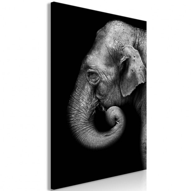 Taulu Artgeist Portrait of Elephant 1-osainen pystysuuntainen eri kokoja