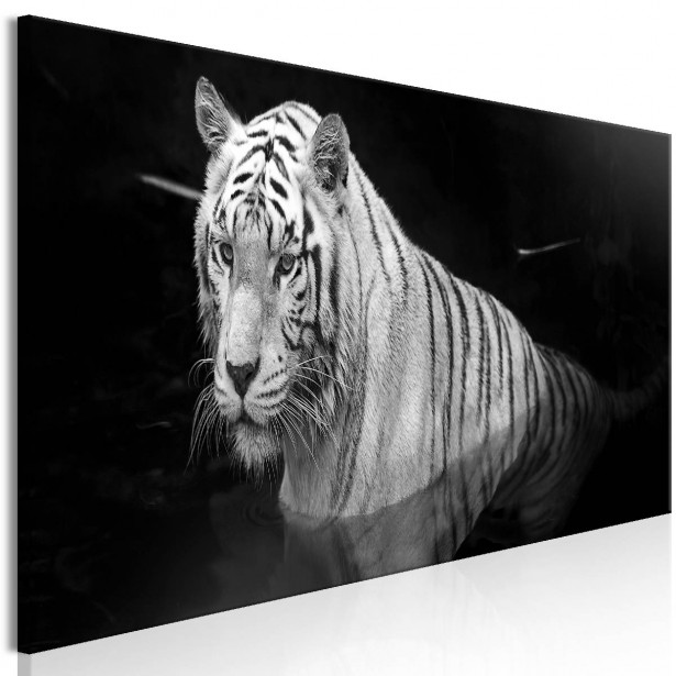 Taulu Artgeist Shining Tiger Black and White 1-osainen kapea eri kokoja