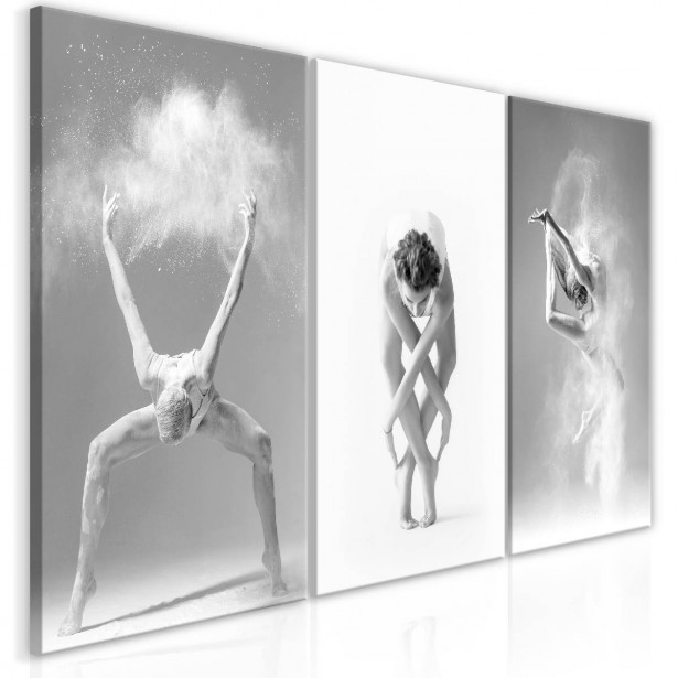 Taulu Artgeist Ballet Collection eri kokoja