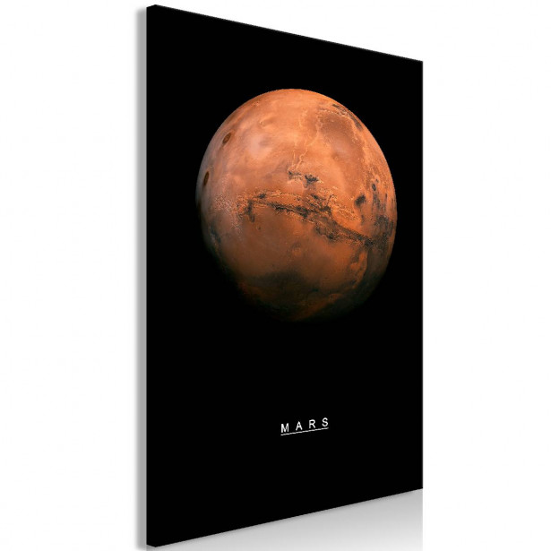 Taulu Artgeist Mars 1-osainen pystysuuntainen eri kokoja