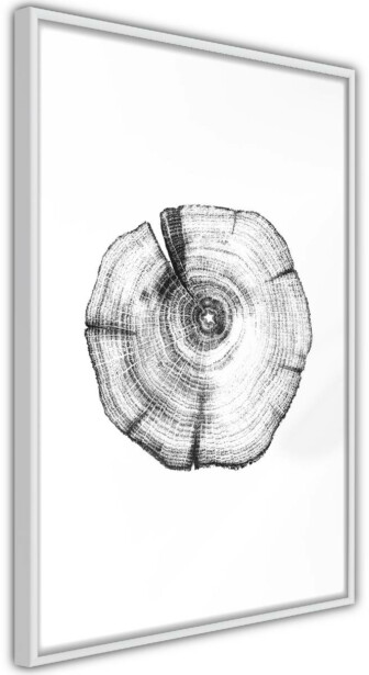 Juliste Artgeist Wood Slice, kehyksillä, eri kokoja