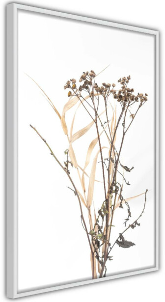 Juliste Artgeist Camomile, kehyksillä, eri kokoja