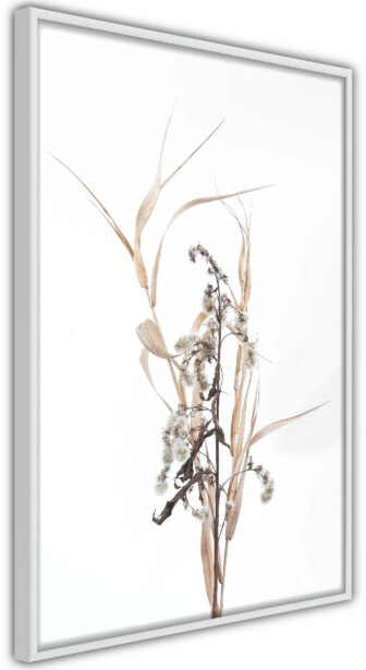 Juliste Artgeist Composition of Herbs, kehyksillä, eri kokoja