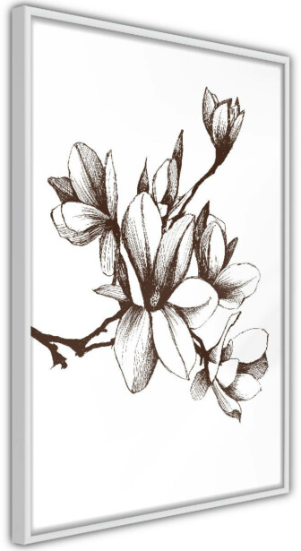 Juliste Artgeist Renaissance Magnolias, kehyksillä, eri kokoja
