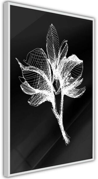Juliste Artgeist Night Flower, kehyksillä, eri kokoja