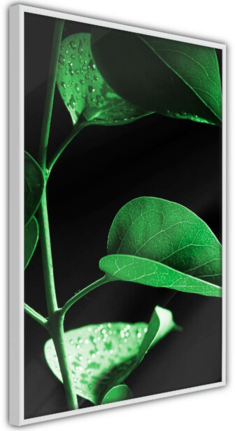 Juliste Artgeist Plant in Black, kehyksillä, eri kokoja