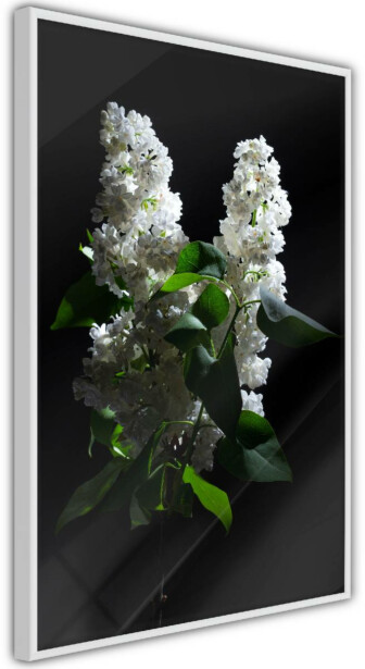 Juliste Artgeist Lilacs at Night, kehyksillä, eri kokoja