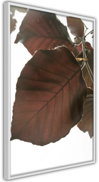 Juliste Artgeist Autumn Leaves, kehyksillä, eri kokoja