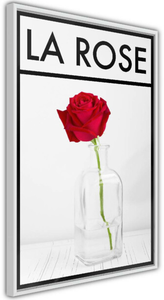 Juliste Artgeist La Rose, kehyksillä, eri kokoja