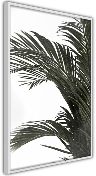 Juliste Artgeist Jungle Treasures, kehyksillä, eri kokoja