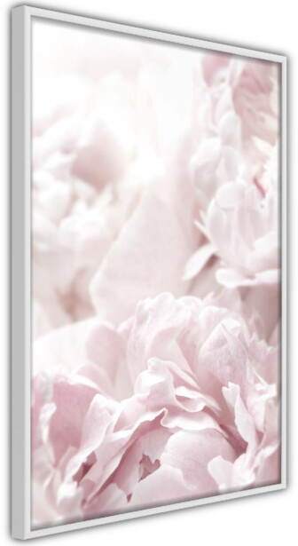 Juliste Artgeist Fluffy Peonies, kehyksillä, eri kokoja