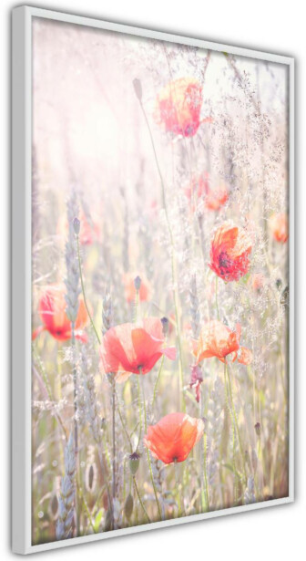 Juliste Artgeist Summer Meadow, kehyksillä, eri kokoja