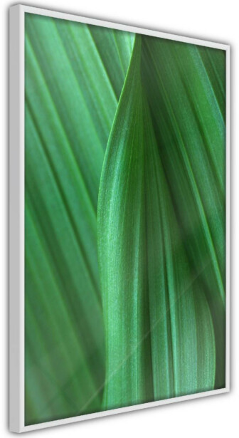 Juliste Artgeist Leaf Texture, kehyksillä, eri kokoja