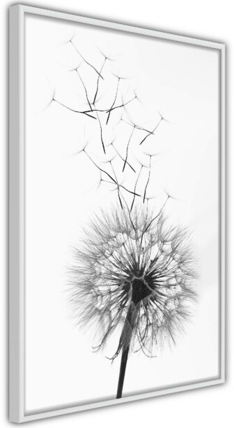 Juliste Artgeist Dandelion, kehyksillä, eri kokoja