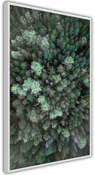 Juliste Artgeist Flying Over Forest, kehyksillä, eri kokoja
