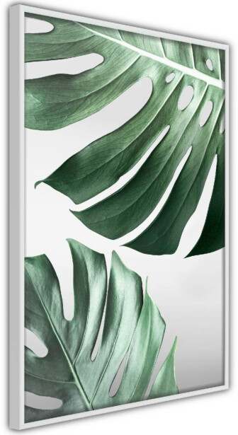 Juliste Artgeist Monstera Leaves, kehyksillä, eri kokoja