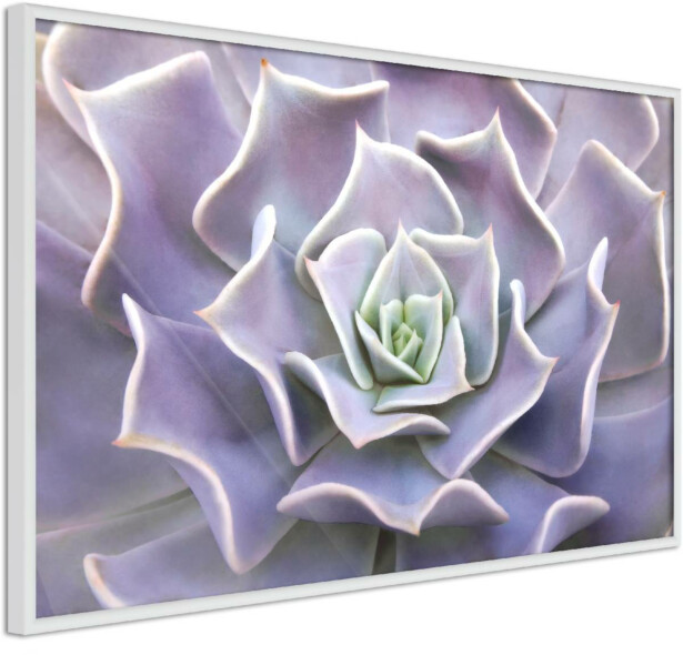 Juliste Artgeist Purple Succulent, kehyksillä, eri kokoja
