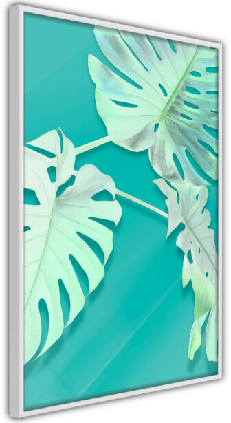 Juliste Artgeist Mint Monstera, kehyksillä, eri kokoja