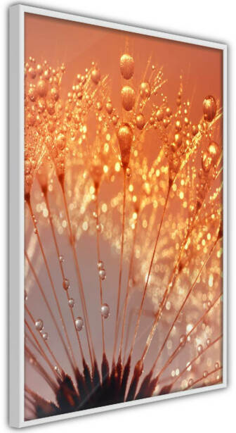 Juliste Artgeist Autumn Dandelion, kehyksillä, eri kokoja