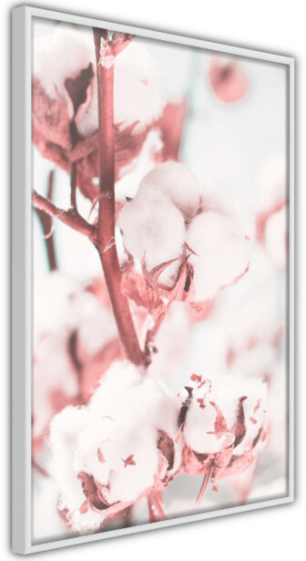 Juliste Artgeist Blooming Cotton, kehyksillä, eri kokoja
