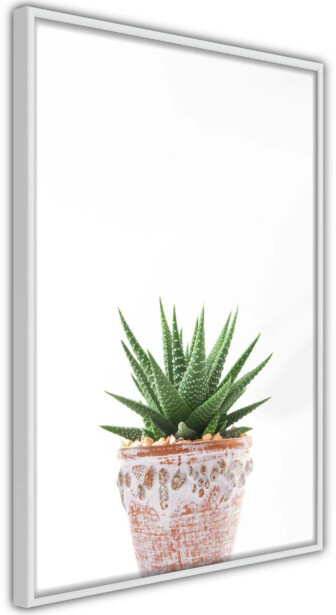 Juliste Artgeist Succulents In Pot, kehyksillä, eri kokoja