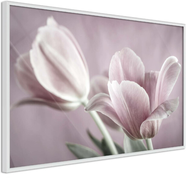 Juliste Artgeist Pink Tulips, kehyksillä, eri kokoja