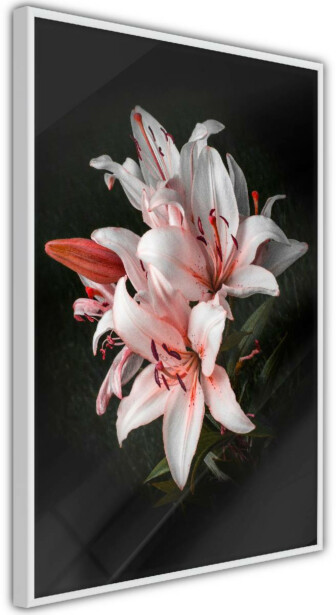 Juliste Artgeist Lilies, kehyksillä, eri kokoja