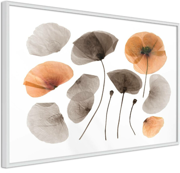 Juliste Artgeist Meadow Herbarium, kehyksillä, eri kokoja