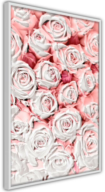 Juliste Artgeist White Roses, kehyksillä, eri kokoja