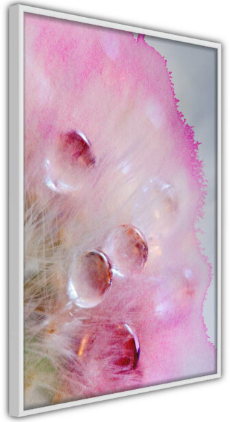 Juliste Artgeist Drops, kehyksillä, eri kokoja