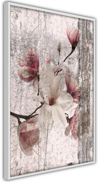 Juliste Artgeist Memorial Magnolia, kehyksillä, eri kokoja