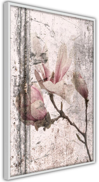 Juliste Artgeist Exquisite Magnolia, kehyksillä, eri kokoja