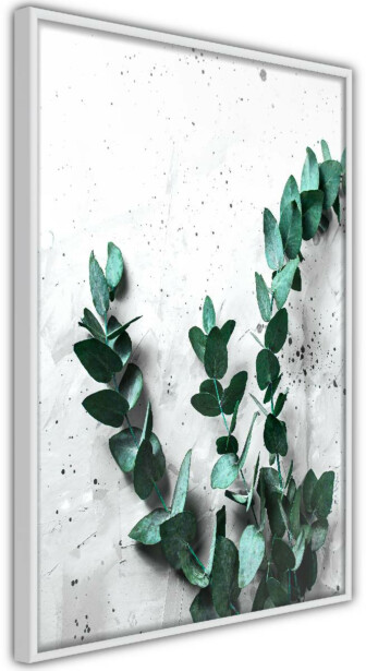 Juliste Artgeist Eucalyptus Scent, kehyksillä, eri kokoja