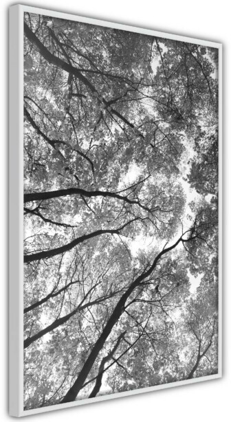Juliste Artgeist High Trees, kehyksillä, eri kokoja