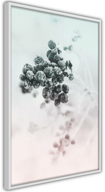 Juliste Artgeist Frozen Twig, kehyksillä, eri kokoja